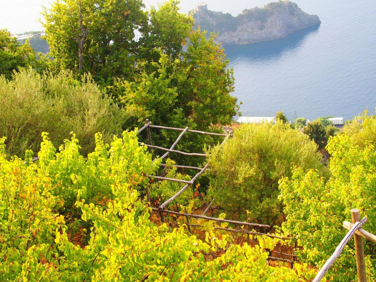 Giardino Sul Mare Apartment Amalfi Exterior photo